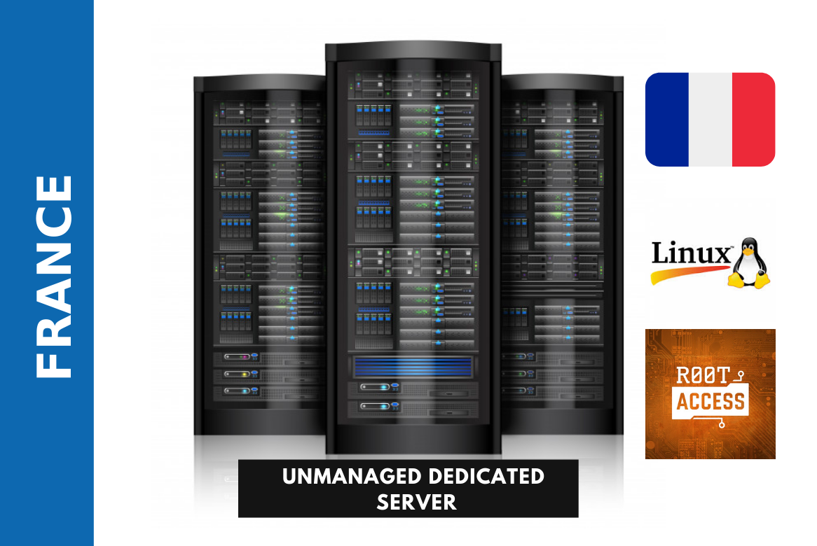 Unmanaged Dedicated Server in France